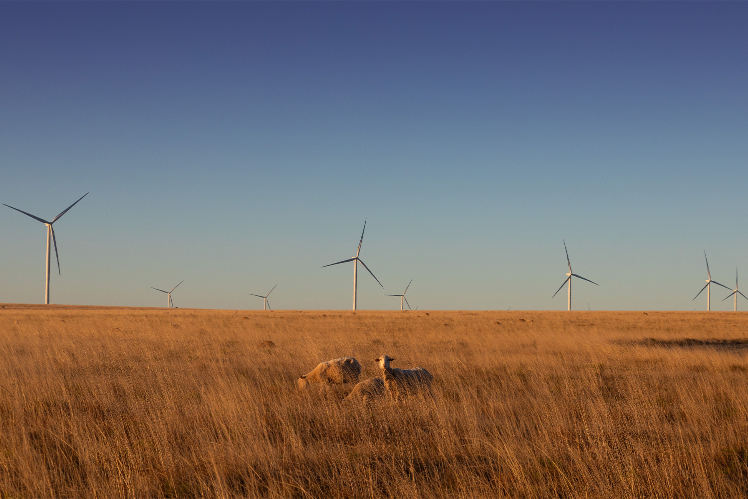 Exxaro’s energy solutions business, Cennergi in partnership with G7 Renewable Energies concludes a 20-year Power Purchase Agreement (PPA) to supply 140MW wind power to Northam Platinum